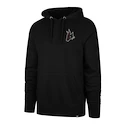 Bluza męska 47 Brand  NHL Arizona Coyotes Imprint Backer 47 BURNSIDE Hood