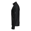 Bluza męska Icebreaker Merino 260 Quantum IV LS Zip Black