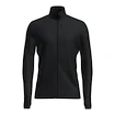 Bluza męska Icebreaker Merino 260 Quantum IV LS Zip Black