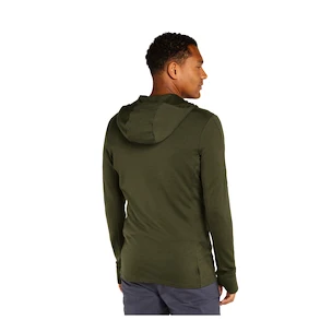 Bluza męska Icebreaker Merino 260 Quantum IV LS Zip Hoodie Loden