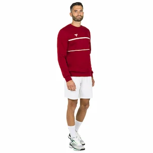 Bluza męska Tecnifibre  Club Sweater Cardinal XXL