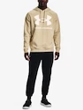 Bluza męska Under Armour  Rival Fleece Big Logo HD-BRN