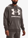 Bluza męska Under Armour  Rival Fleece Big Logo HD-BRN