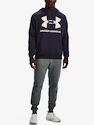 Bluza męska Under Armour  Rival Fleece Big Logo HD-GRY