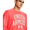 Bluza męska Under Armour  RIVAL TERRY CREW-RED