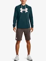 Bluza męska Under Armour  Rival Terry Logo Hoodie-GRN