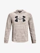 Bluza męska Under Armour  Rival Terry Logo Hoodie-WHT