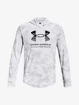 Bluza męska Under Armour  Rival Terry Novelty HD-WHT