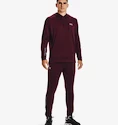 Bluza męska Under Armour  Terry Hoodie Red XXL