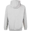 Bluza męska Virtus  Oralie Hoody grey