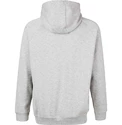 Bluza męska Virtus  Oralie Hoody grey