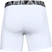 Bokserki męskie Under Armour  Charged Cotton 6" 3 Pack white Dynamic