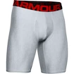 Bokserki męskie Under Armour  Tech 9in 2 Pack grey Dynamic