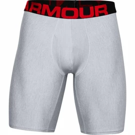 Bokserki męskie Under Armour Tech 9in 2 Pack grey Dynamic