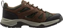 Buty męskie Helly Hansen  Switchback Trail Low HT Bushwacker/Forest Night