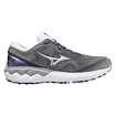 Damskie buty do biegania Mizuno  Wave Skyrise Wave Skyrise 2 / Blackened Pearl / Silver / Antarctica  UK 7,5