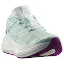 Damskie buty do biegania Salomon Aero Glide 3 Bay/White/Willowherb