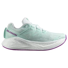 Damskie buty do biegania Salomon Aero Glide 3 Bay/White/Willowherb