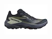 Damskie buty do biegania Salomon Genesis W Carbon/Grisaille/Aloe Wash  UK 4,5