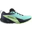 Damskie buty do biegania Salomon Sense Ride 5 Gtx Blue Radiance / Green Ash / India Ink