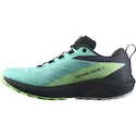 Damskie buty do biegania Salomon Sense Ride 5 Gtx Blue Radiance / Green Ash / India Ink