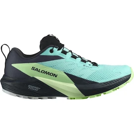 Damskie buty do biegania Salomon Sense Ride 5 Gtx Blue Radiance / Green Ash / India Ink