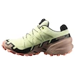 Damskie buty do biegania Salomon Speedcross 6 Gore-Tex Lime Cream/Mahogany Rose/Black