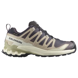 Damskie buty do biegania Salomon Xa Pro 3D V9 Gore-Tex Nine Iron/Oxford Tan/Alfalfa