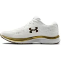 Damskie buty do biegania Under Armour