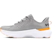 Damskie buty do biegania Under Armour Infinite Pro We Run GRY