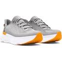 Damskie buty do biegania Under Armour Infinite Pro We Run GRY