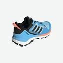 Damskie buty outdoorowe adidas  Terrex Skychaser 2 GTX W Blue