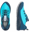 Damskie buty outdoorowe Haglöfs  L.I.M FH GTX Low Blue