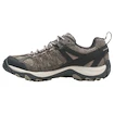 Damskie buty outdoorowe Merrell Accentor  3 Brindle