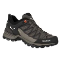 Damskie buty outdoorowe Salewa  WS MTN Trainer Lite GTX Wallnut/Fluo Coral