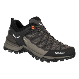 Damskie buty outdoorowe Salewa WS MTN Trainer Lite GTX Wallnut/Fluo Coral