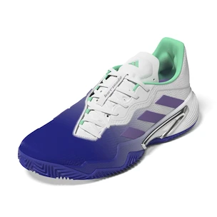 Damskie buty tenisowe adidas Barricade W Clay Blue/Violet