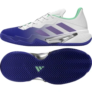 Damskie buty tenisowe adidas Barricade W Clay Blue/Violet