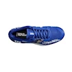 Damskie buty tenisowe Wilson Rush Pro 4.0 Hope Paris Clay