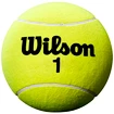 Duża piłka tenisowa Wilson  Roland Garros 9" Jumbo Yellow