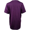 Koszulka dziecięca Endurance  Parbin Unisex Melange SS Tee Purple