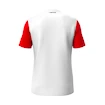 Koszulka dziecięca Head  CLUB 25 Tech T-Shirt Boys Red/White