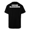 Koszulka męska 47 Brand  NHL Chicago Blackhawks Backer '47 ECHO Tee