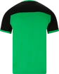 Koszulka męska FZ Forza  Alberti M S/S Tee Perfect Green