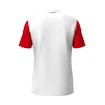 Koszulka męska Head  CLUB 25 TECH T-Shirt Men Red/White