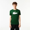 Koszulka męska Lacoste  Big Logo Core Performance T-Shirt Green/White