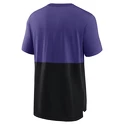 Koszulka męska Nike  Colorblock NFL Minnesota Vikings