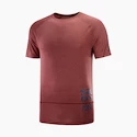 Koszulka męska Salomon Cross Run Graphic Tee Cabernet XL