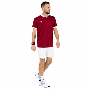 Koszulka męska Tecnifibre  Club Polo Cardinal