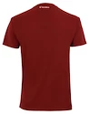 Koszulka męska Tecnifibre  Club Tech Tee Cardinal